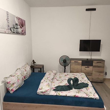 Apartia Krenova, Brno-Center Zewnętrze zdjęcie