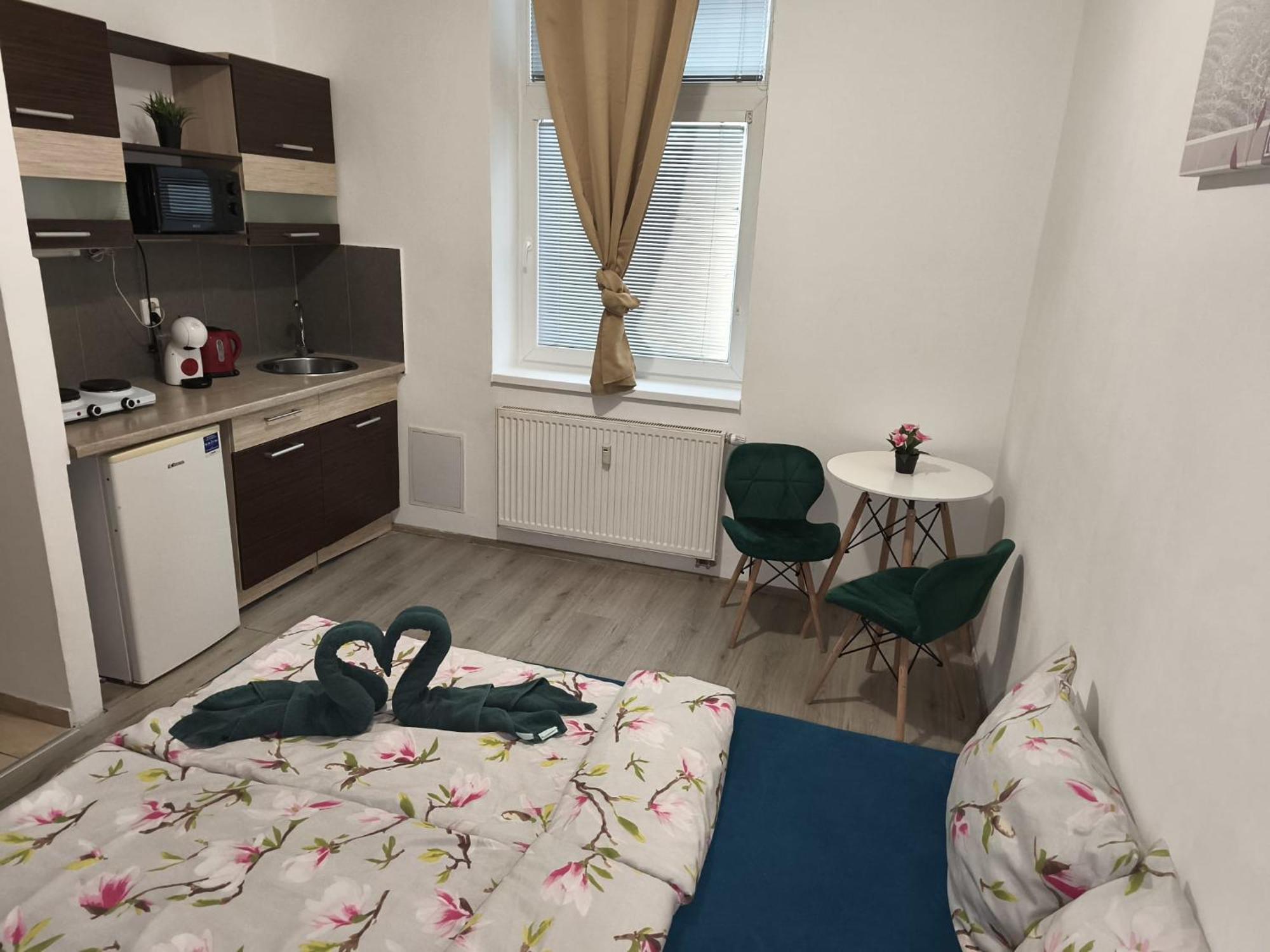 Apartia Krenova, Brno-Center Zewnętrze zdjęcie